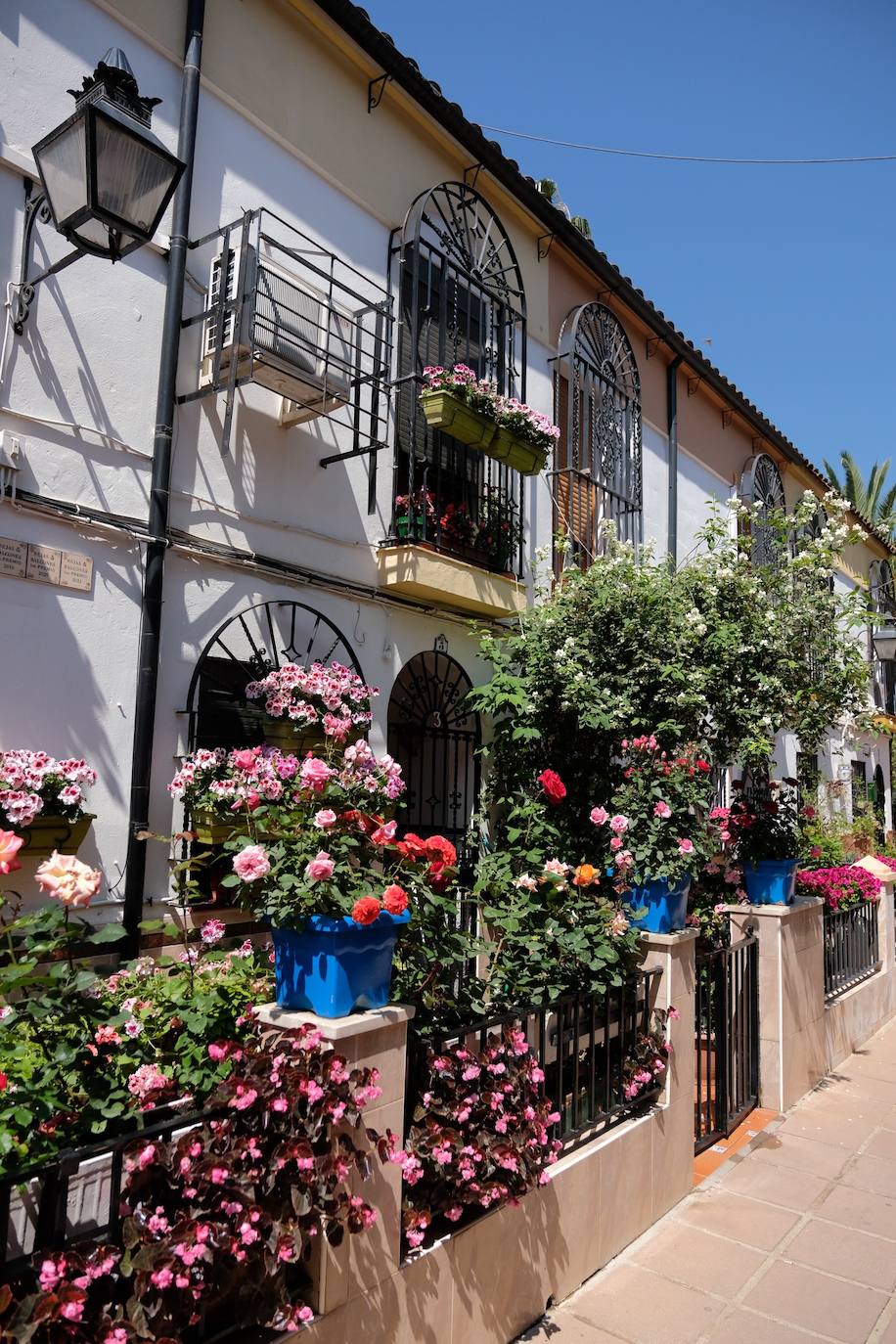 Patios de Córdoba 2022 | El concurso de Rejas y Balcones, en imágenes