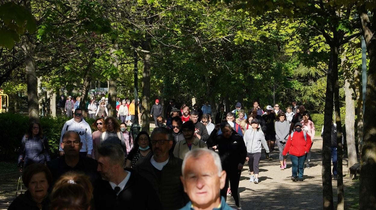 Los &#039;andarines&#039; de Asprona recuperan las calles de Valladolid por la solidaridad