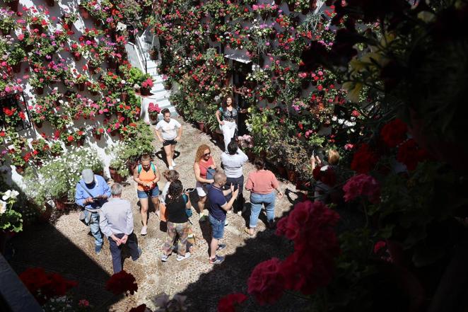 Patios de Córdoba 2022 | Las largas colas y el ambiente del fin de semana, en imágenes