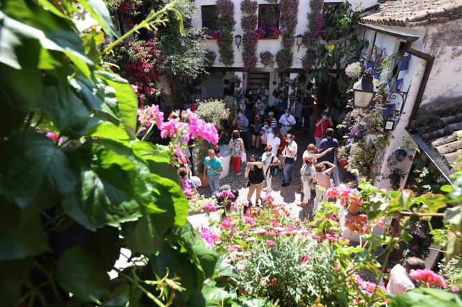 Patios de Córdoba 2022 | Las largas colas y el ambiente del fin de semana, en imágenes