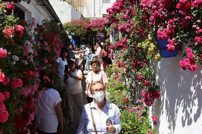 Patios de Córdoba 2022 | Las largas colas y el ambiente del fin de semana, en imágenes