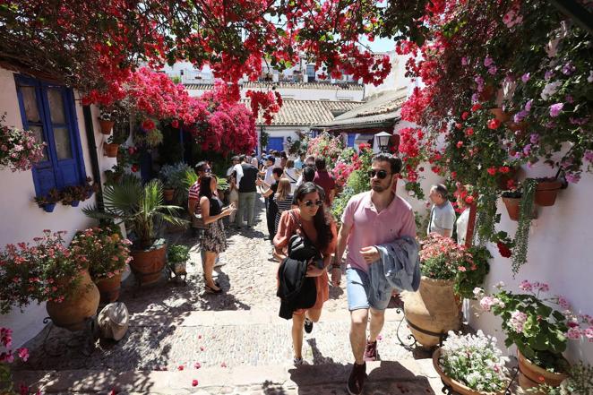 Patios de Córdoba 2022 | Las largas colas y el ambiente del fin de semana, en imágenes