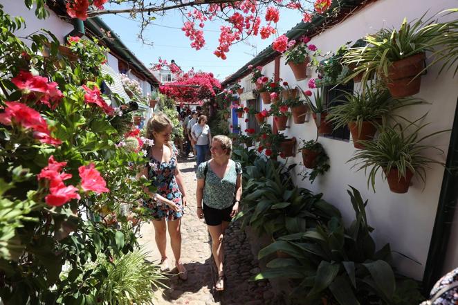 Patios de Córdoba 2022 | Las largas colas y el ambiente del fin de semana, en imágenes