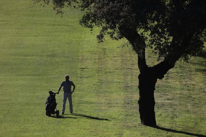 El XXIV Open Ciudad de Córdoba de golf de Los Villares, en imágenes