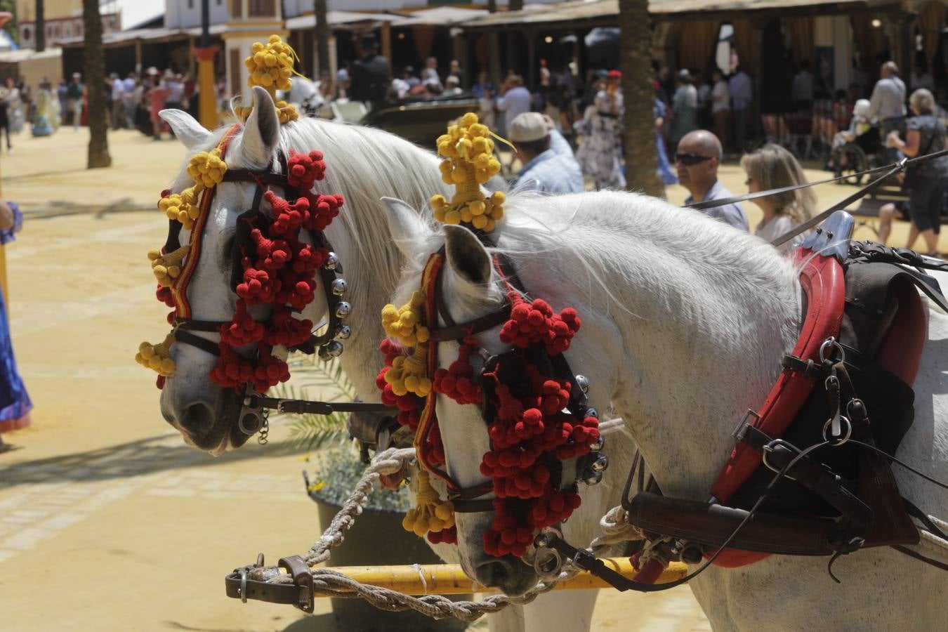 Fotos: Jerez vive un gran domingo de Feria