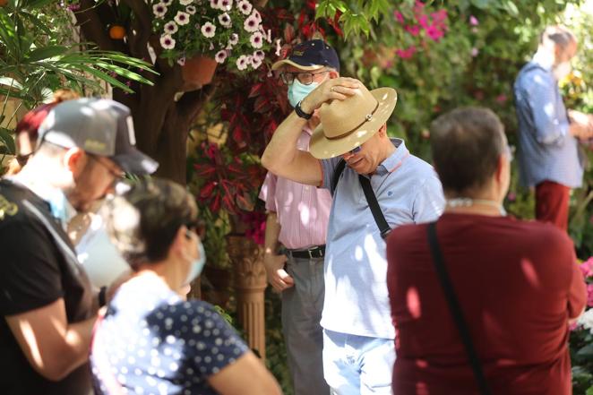 Patios de Córdoba 2022 | La ruta de San Pedro y Santiago, en imágenes