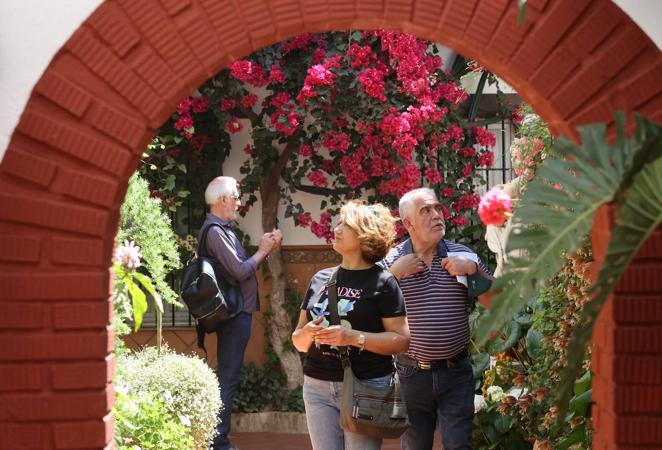 Patios de Córdoba 2022 | La ruta de San Pedro y Santiago, en imágenes