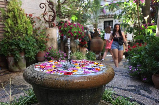 Patios de Córdoba 2022 | La ruta de San Pedro y Santiago, en imágenes