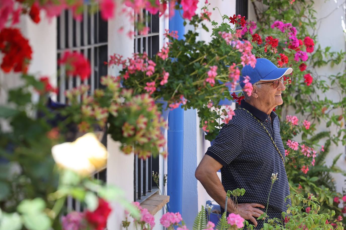 La ruta de patios de San Lorenzo de Córdoba, en imágenes