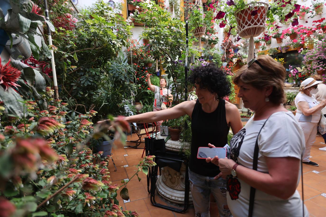 La ruta de patios de San Lorenzo de Córdoba, en imágenes