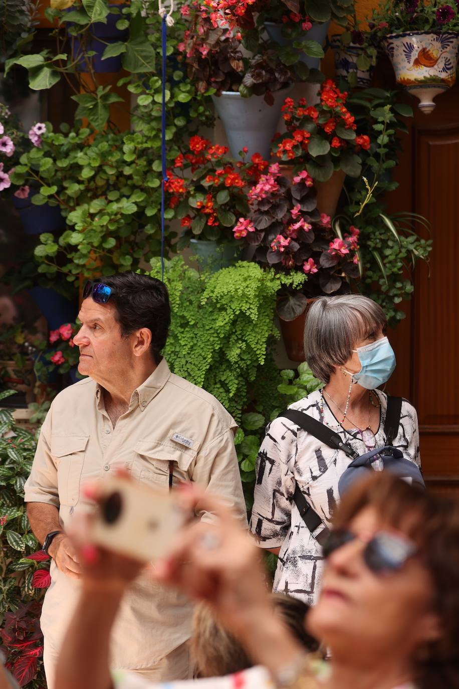 La ruta de patios de San Lorenzo de Córdoba, en imágenes