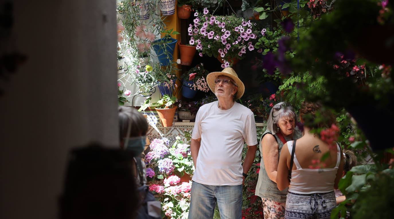 La ruta de patios de San Lorenzo de Córdoba, en imágenes