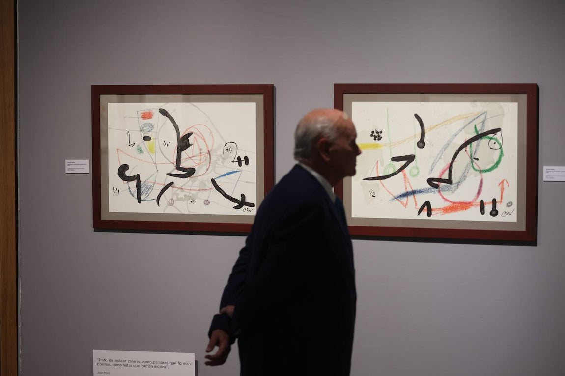 La exposición de Picasso, Dalí y Miró en Córdoba, en imágenes