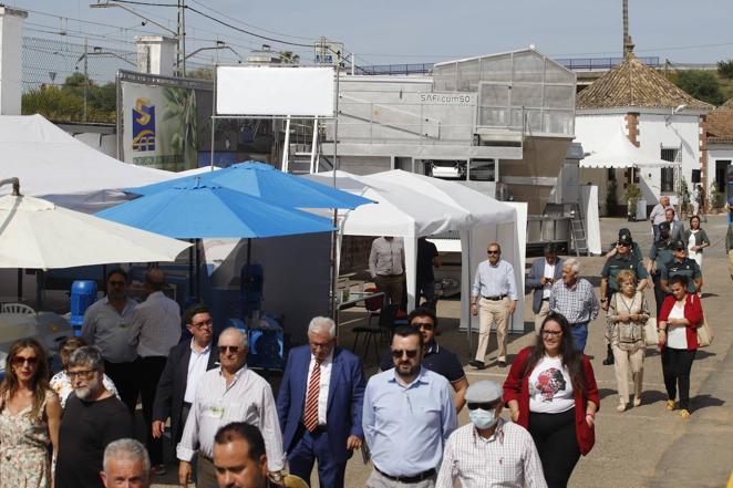 La inauguración de la Feria del Olivo de Montoro, en imágenes