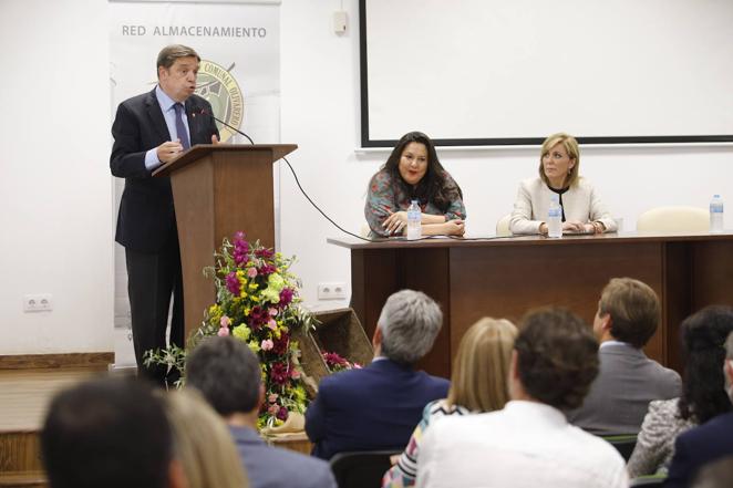 La inauguración de la Feria del Olivo de Montoro, en imágenes