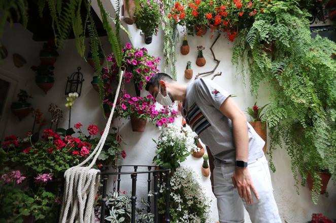 Patios de Córdoba 2022 | Judería y San Francisco, en imágenes