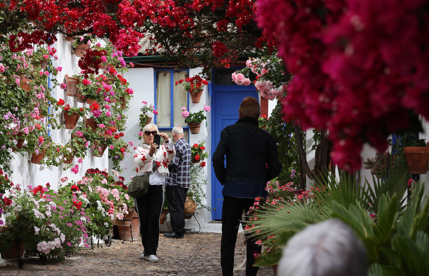 Patios de Córdoba 2022 | Las mejores imágenes de los recintos ganadores