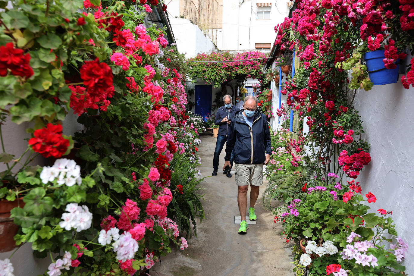 Patios de Córdoba 2022 | Las mejores imágenes de los recintos ganadores