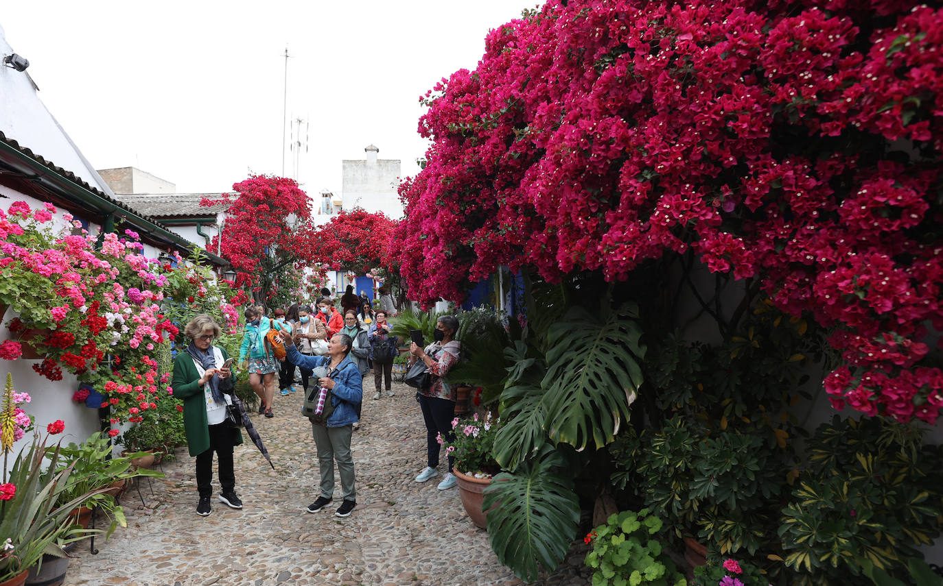 Patios de Córdoba 2022 | Las mejores imágenes de los recintos ganadores