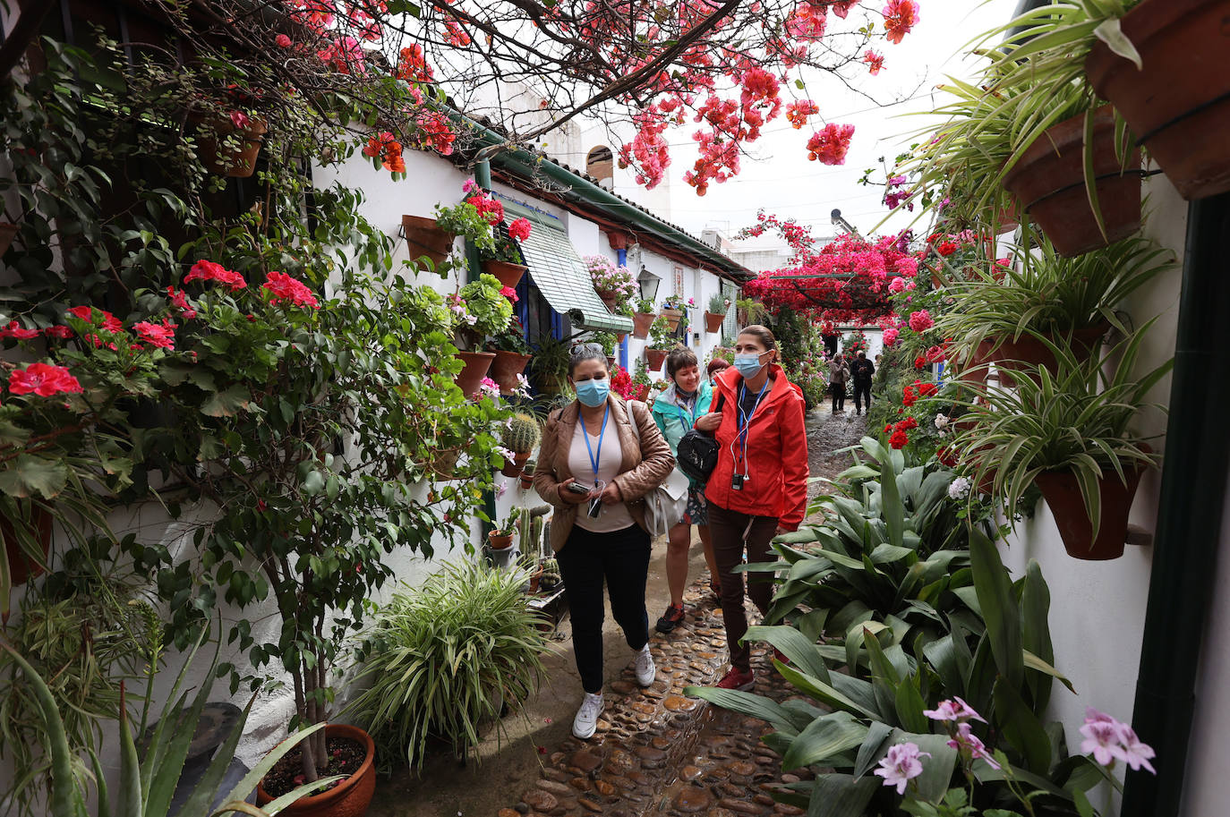 Patios de Córdoba 2022 | Las mejores imágenes de los recintos ganadores