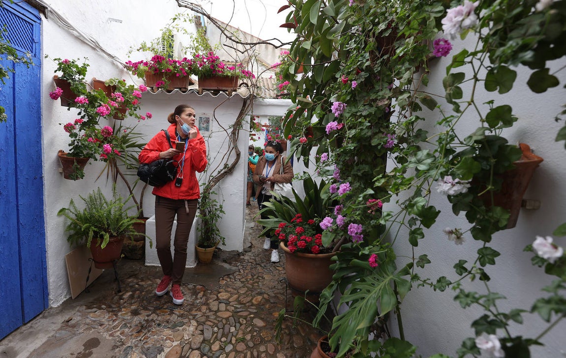 Patios de Córdoba 2022 | Las mejores imágenes de los recintos ganadores