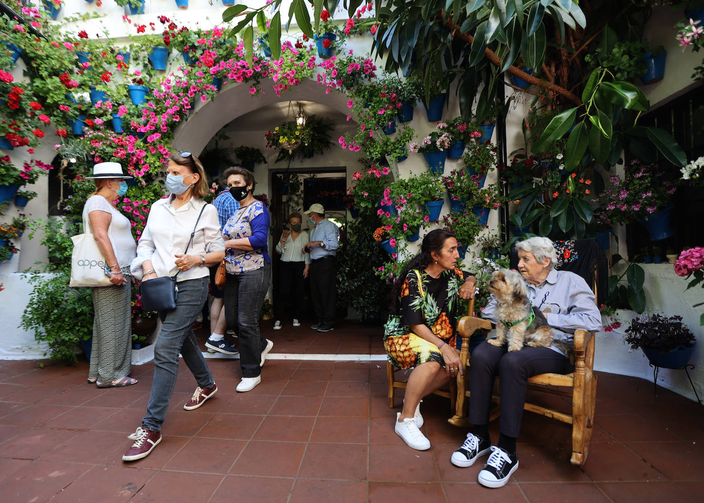 Patios de Córdoba 2022 | Las mejores imágenes de los recintos ganadores