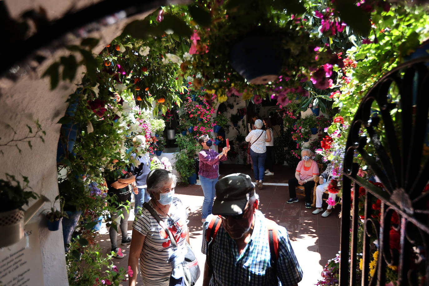 Patios de Córdoba 2022 | Las mejores imágenes de los recintos ganadores