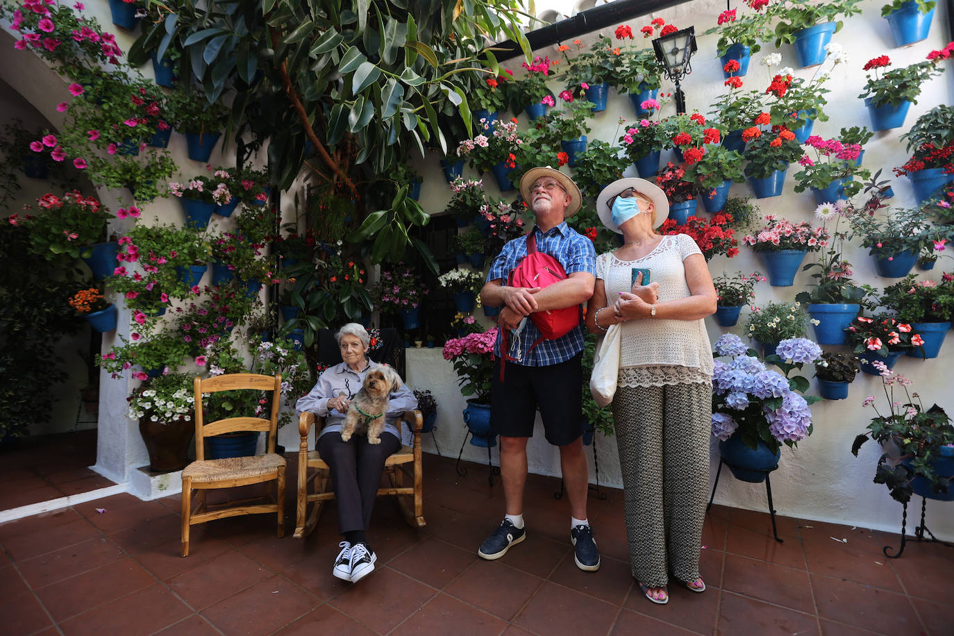 Patios de Córdoba 2022 | Las mejores imágenes de los recintos ganadores