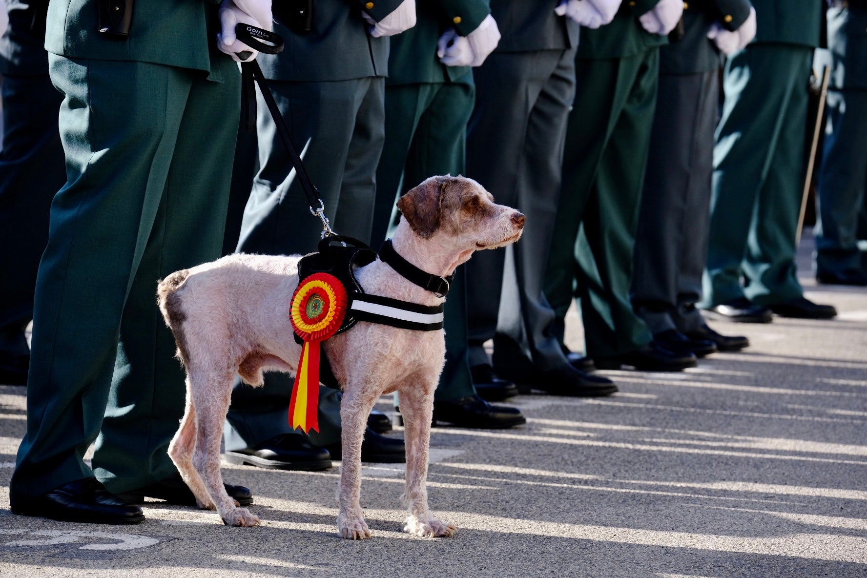 En imágenes: La Guardia Civil celebra su aniversario en Cádiz