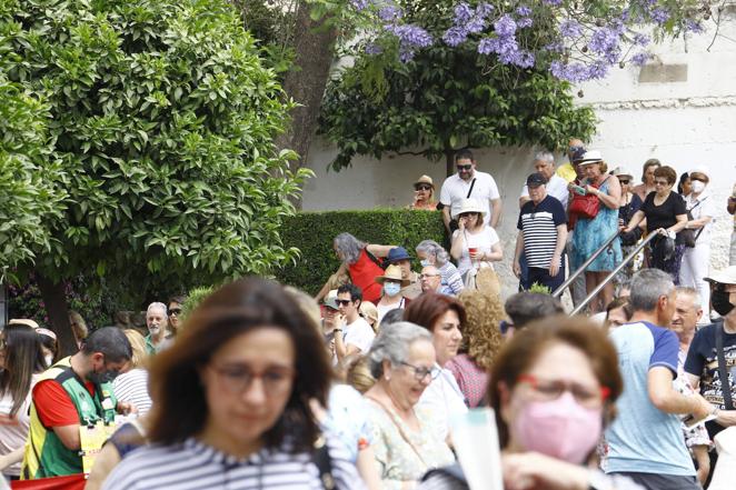 En imágenes, el ambientazo del sábado de Patios en Córdoba