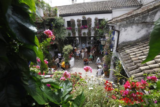 En imágenes, el ambientazo del sábado de Patios en Córdoba
