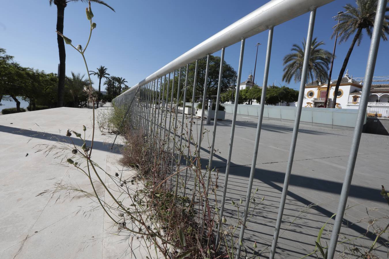 La maleza abunda en las principales zonas turísticas de la ciudad. RAÚL DOBLADO