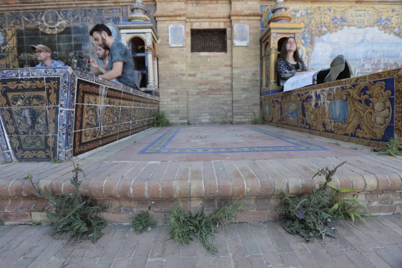 La maleza abunda en las principales zonas turísticas de la ciudad. RAÚL DOBLADO