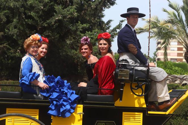 La VIII Exhibición de Carruajes de Tradición de Córdoba, en imágenes