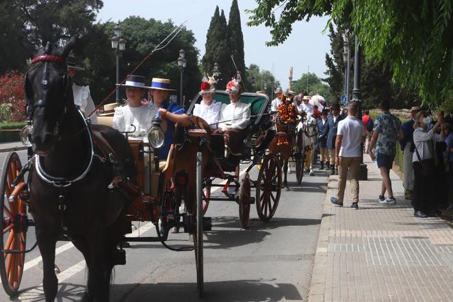 La VIII Exhibición de Carruajes de Tradición de Córdoba, en imágenes