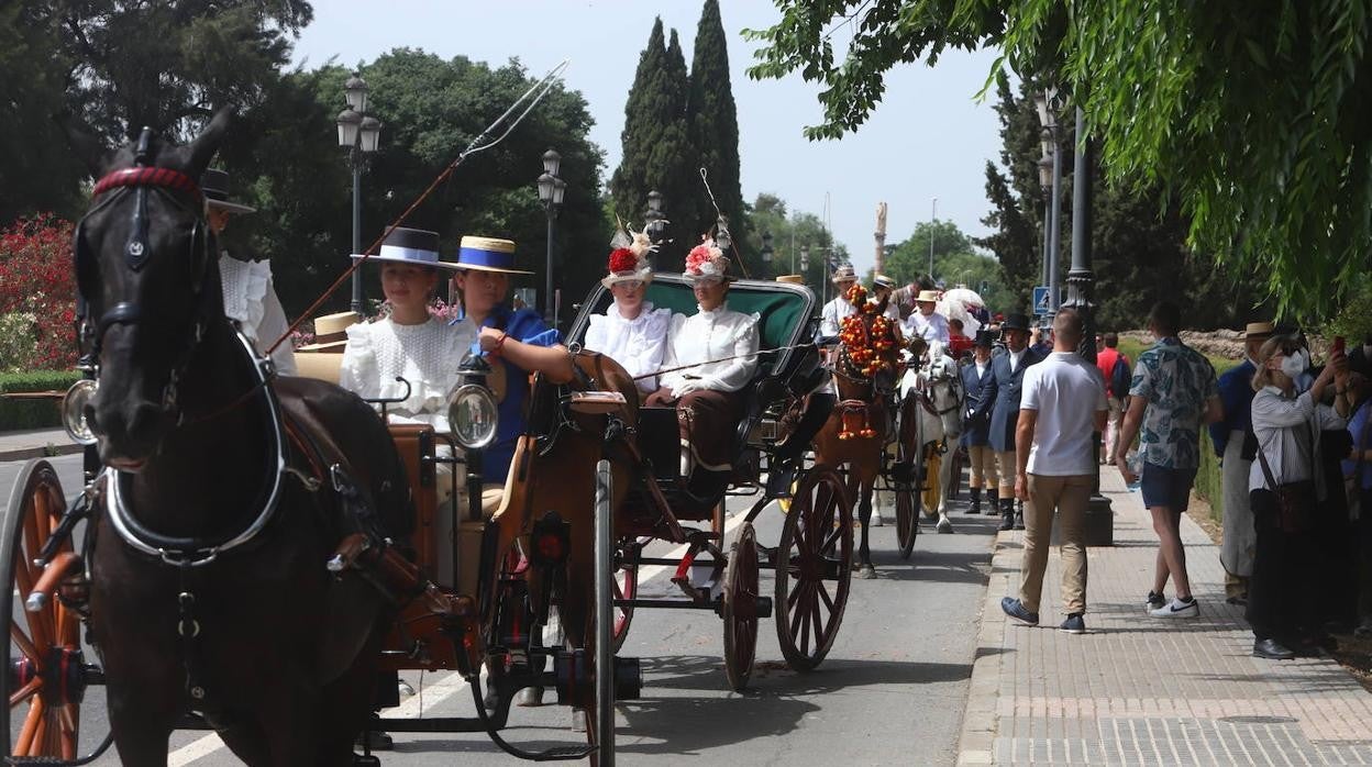 La VIII Exhibición de Carruajes de Tradición de Córdoba, en imágenes