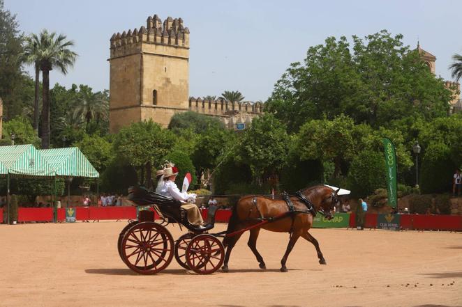 La VIII Exhibición de Carruajes de Tradición de Córdoba, en imágenes