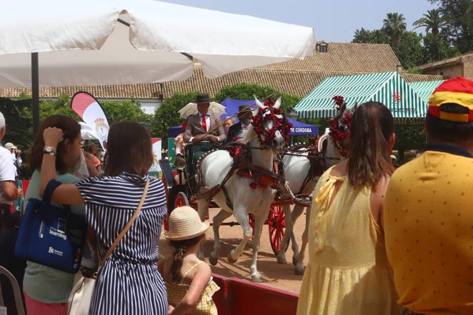 La VIII Exhibición de Carruajes de Tradición de Córdoba, en imágenes