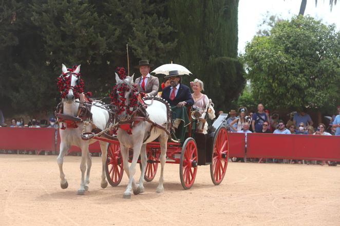 La VIII Exhibición de Carruajes de Tradición de Córdoba, en imágenes