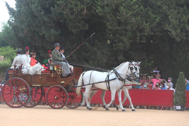 La VIII Exhibición de Carruajes de Tradición de Córdoba, en imágenes