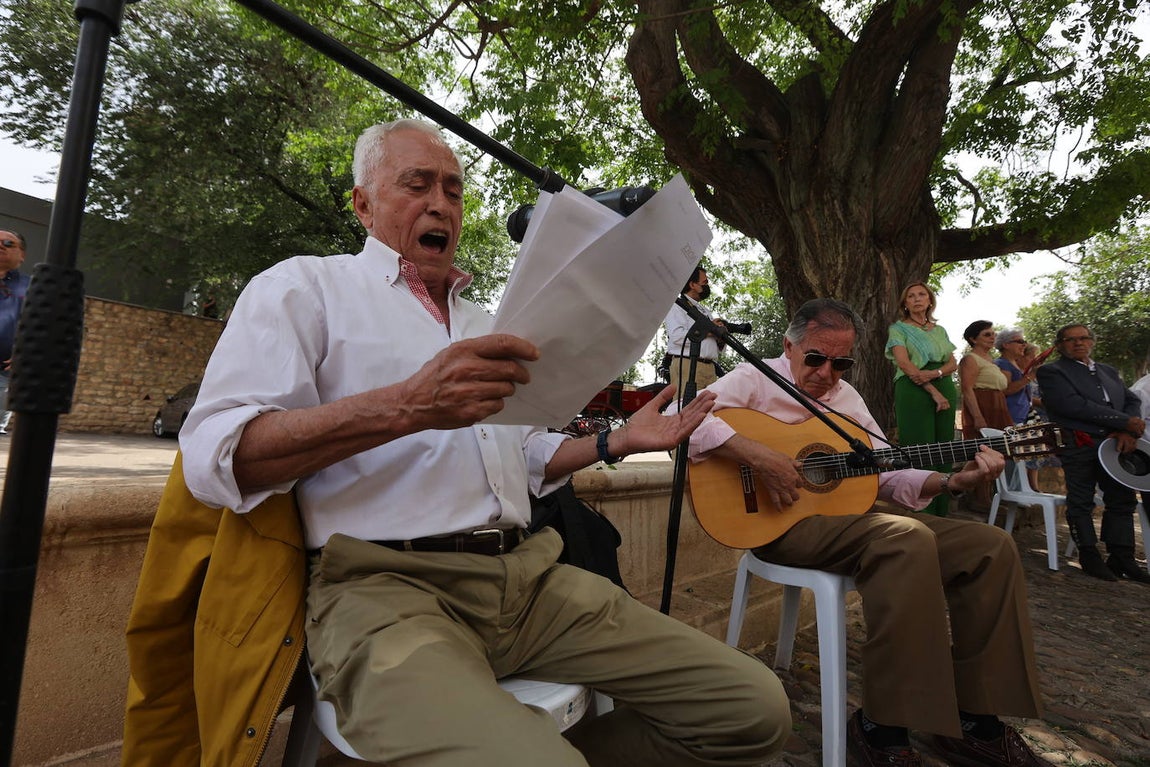 La Misa de la Virgen de la Salud de Córdoba, en imágenes