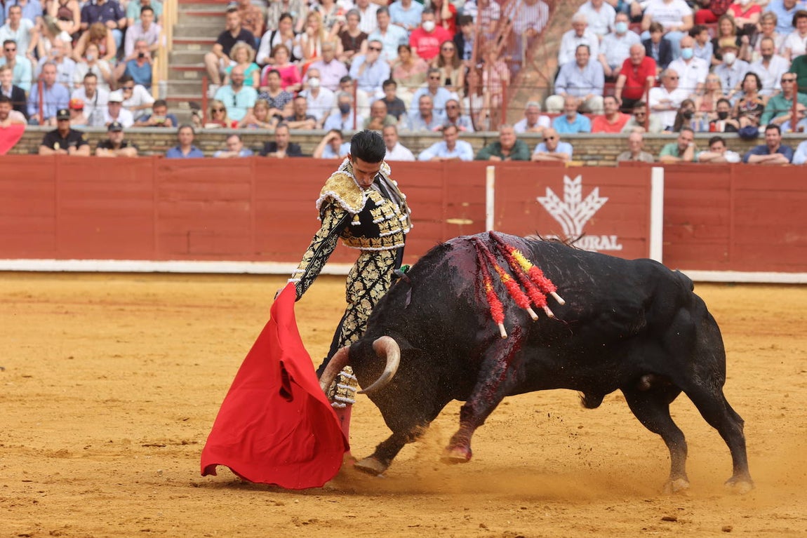 El gran triunfo de Roca Rey y Lagartijo en Córdoba, en imágenes