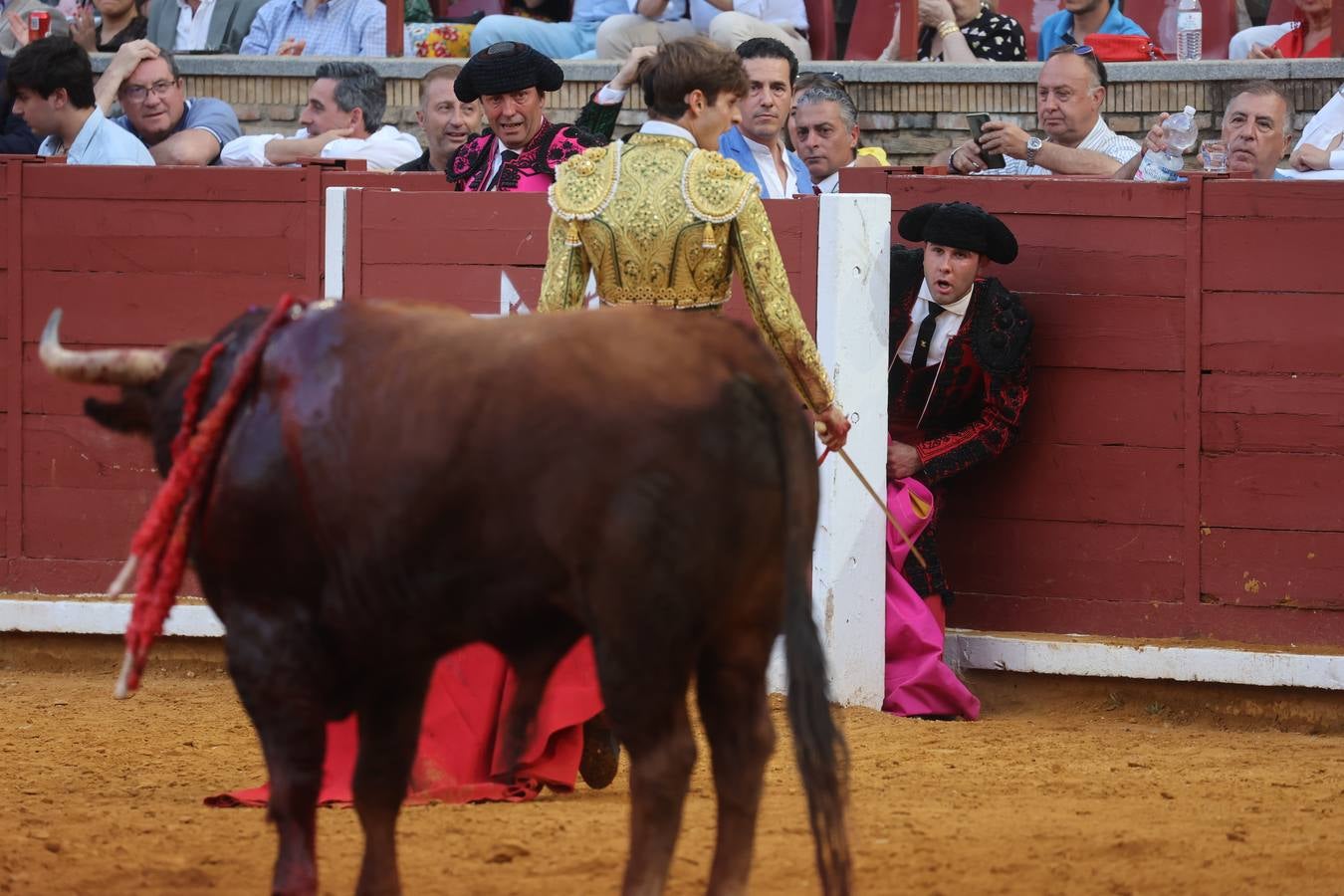 La novillada del domingo en la Feria de Córdoba, en imágenes