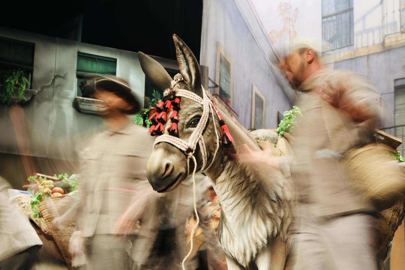 Fotos: Comparsa &#039;Los burreños&#039; en el COAC 2022. Carnaval de Cádiz