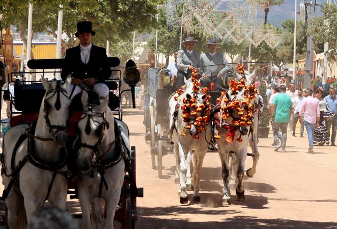 Feria Córdoba 2022 | El concurso ecuestre y los caballistas, en imágenes