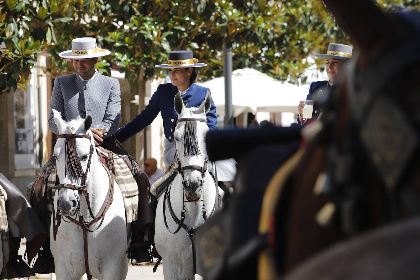 La belleza de la salida de la Hermandad del Rocío de Córdoba, en imágenes