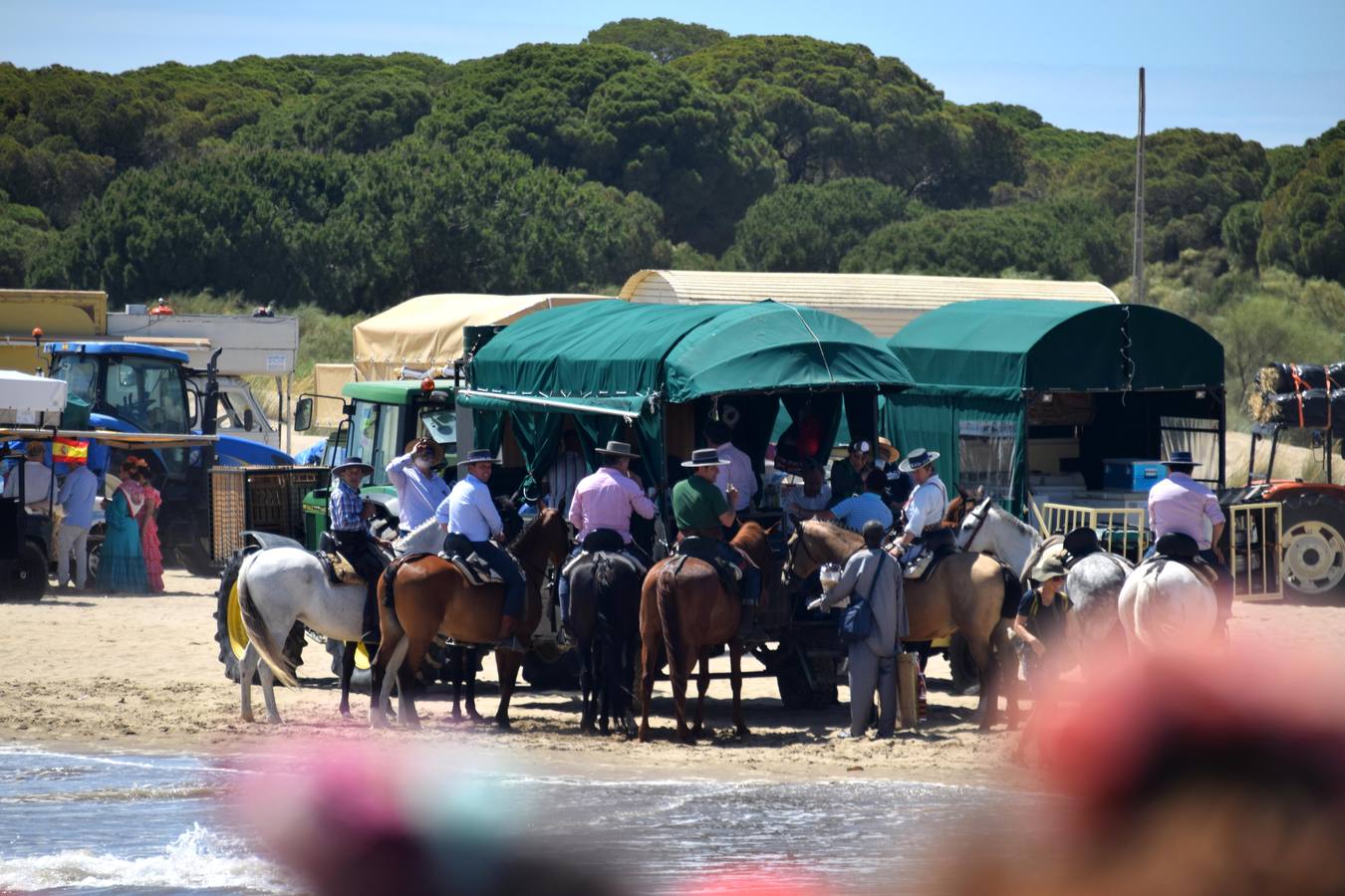 Doñana se llena de color con los peregrinos