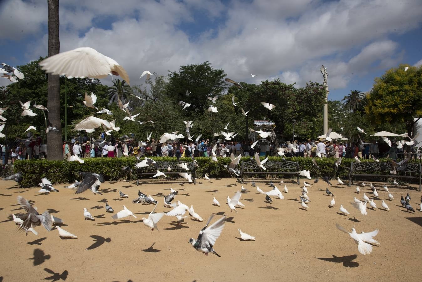 Salida de la hermandad del Rocío del Cerro del Águila