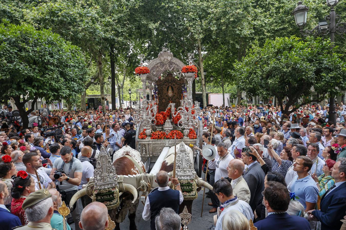 Salida de la hermandad de Sevilla hacia el Rocío