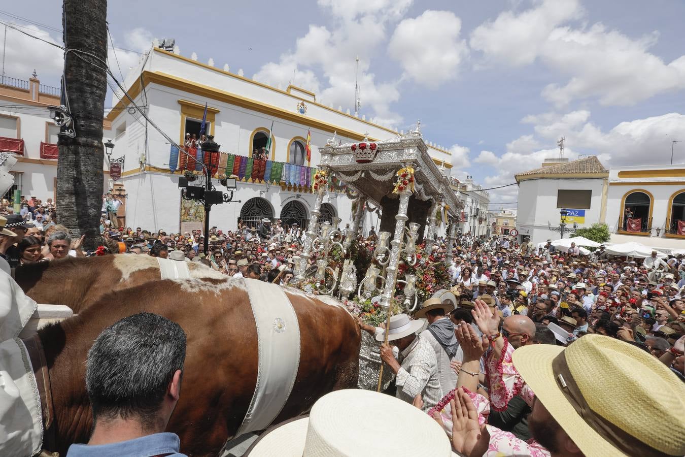 Hermandad de Coria del Río. RAÚL DOBLADO